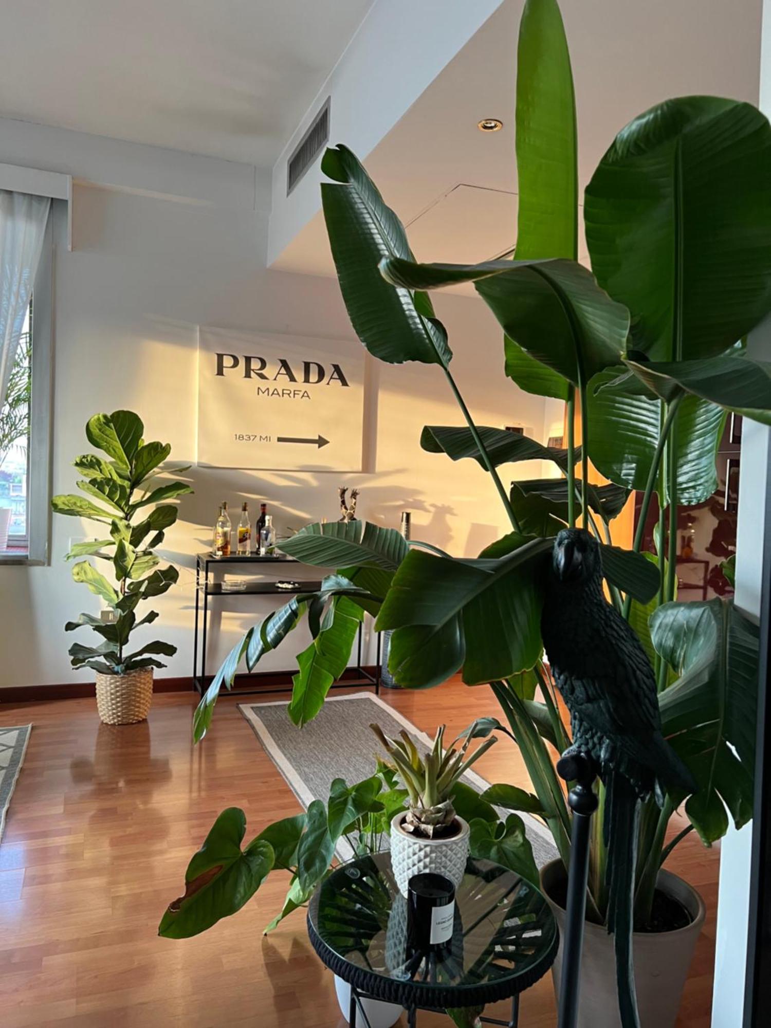 Апартаменты Urban Jungle - Attico Vista Duomo Милан Экстерьер фото